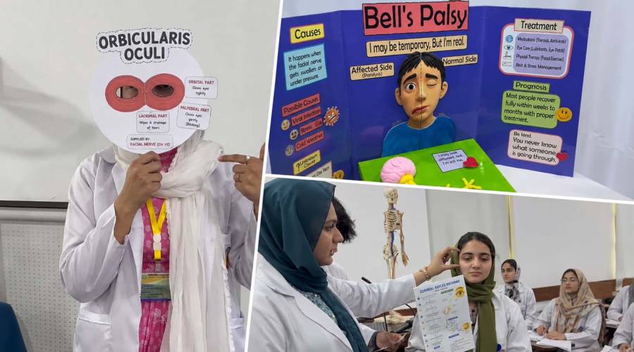 Akhtar Saeed dental students demonstrate cranial nerve neuroanatomy through 3D models, posters and clinical role-play
