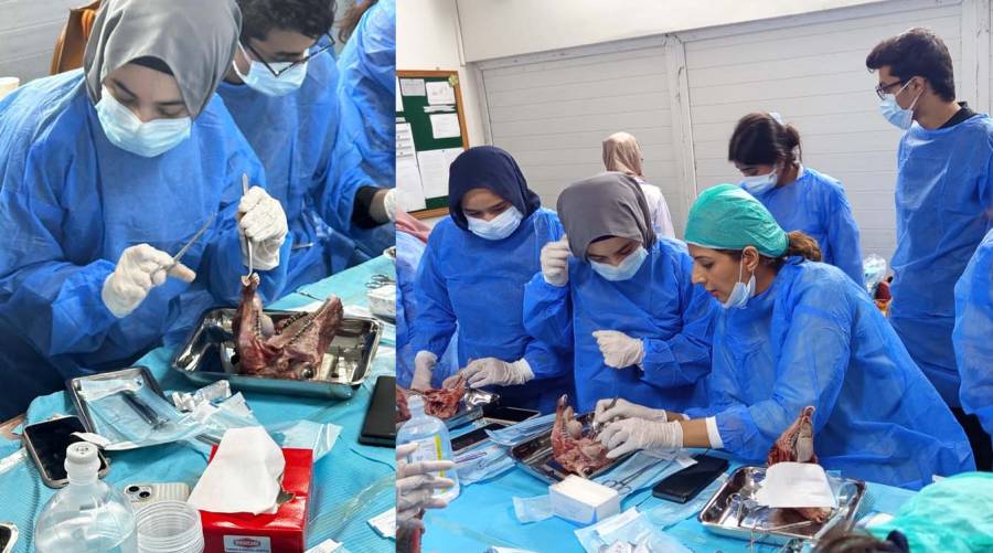 Participants practise soft-tissue grafting during the Periodontology is Beyond Scaling workshop at JMDC CON 26