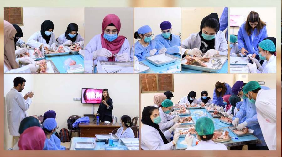 Fatima Jinnah Dental College house officers practising periodontal surgical techniques during a hands-on workshop